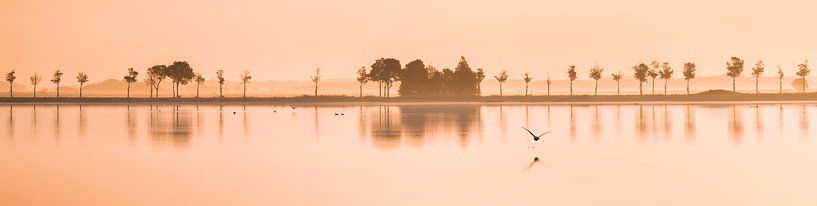 Le Roegwold par Marga Vroom