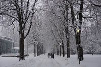 Winterspaziergang im Schnee zwischen den Bäumen