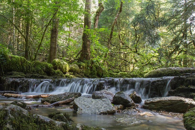 Wasserfall im Bach von Matthijs Damen