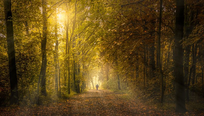 De wandelaar von Klaas Fidom