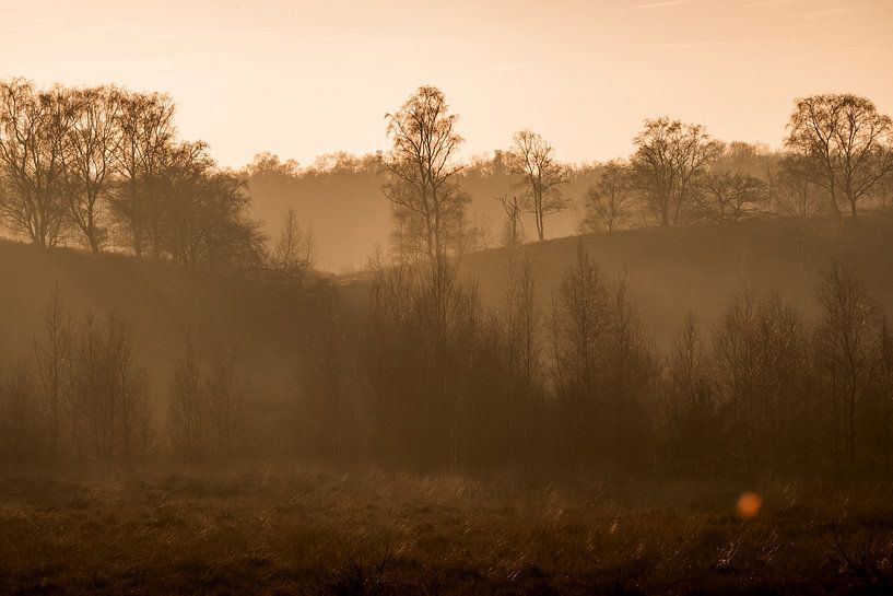 Paysage dans les collines de rosée dorée dans le silence du matin par Femke Ketelaar