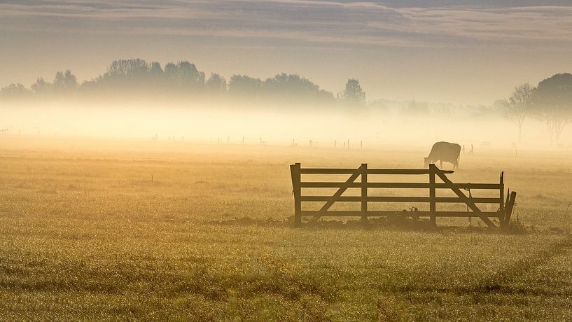 Landschaft im Nebel von sjaak vogel