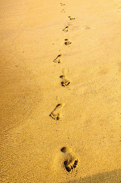 Spuren im Sand von Dieter Walther