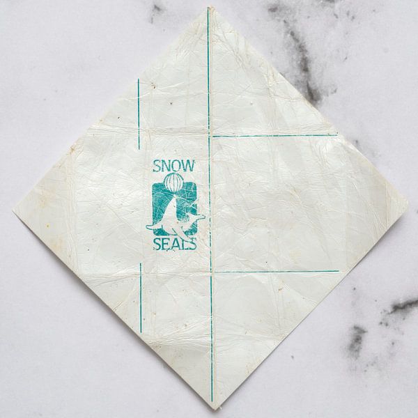 Zwergpfosten Schneesiegel auf Marmor von Floris Kok