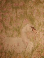 Oneindige liefde Zwaan (4446)