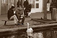 Le silence en mouvement