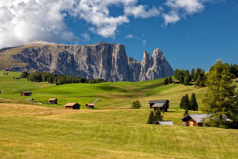 Seiser Alm am Morgen von Tilo Grellmann