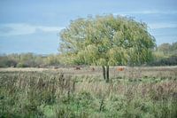 Simplicité du repos