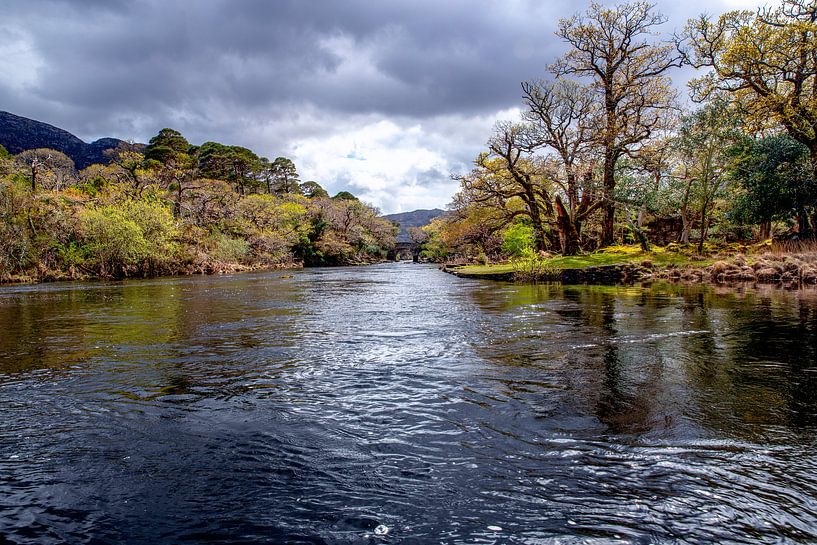 Rivière de printemps par Rene Siebring