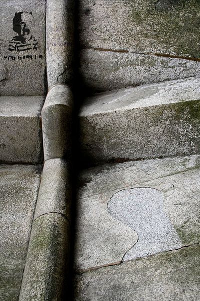 in de marge gezet van Martijn Wams