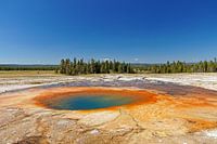 Geysir im Yellowstone National Park