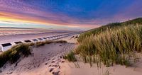 Plage Paal 28 - Texel 
