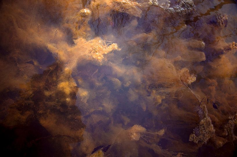 Quel est ce ... par Sonja Pixels