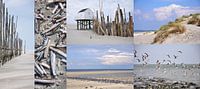 Collage Vlieland