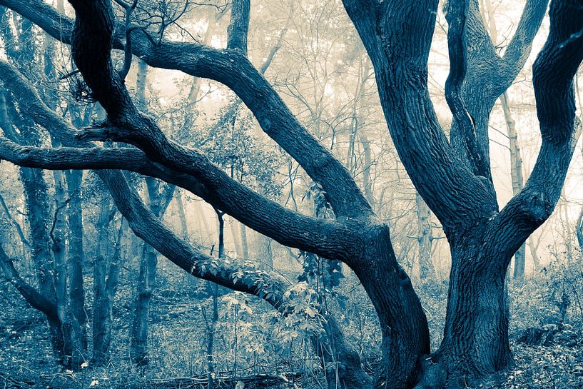 Sonate d'automne par Raoul Suermondt