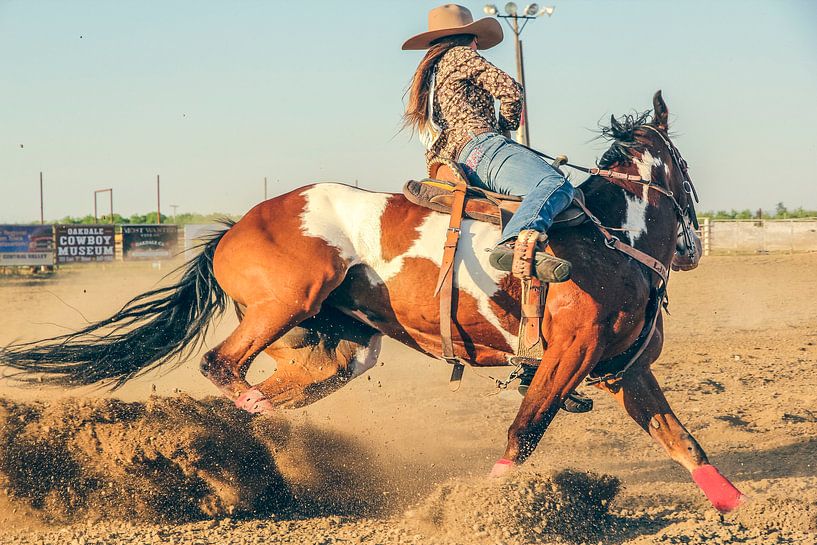 Cowgirl riding barrel racing with an energetic brown and white horse by Atelier Liesjes
