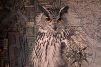 Hibou grand-duc des rêves