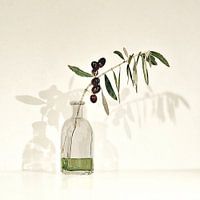 OLIVENÖL EXTRA NATIVES OLIVENÖL