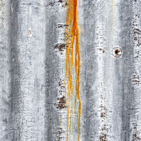 Sol primal - Traces du temps par Hans Kwaspen