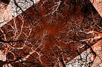 20250308_082546_HKR00235_202_DxO