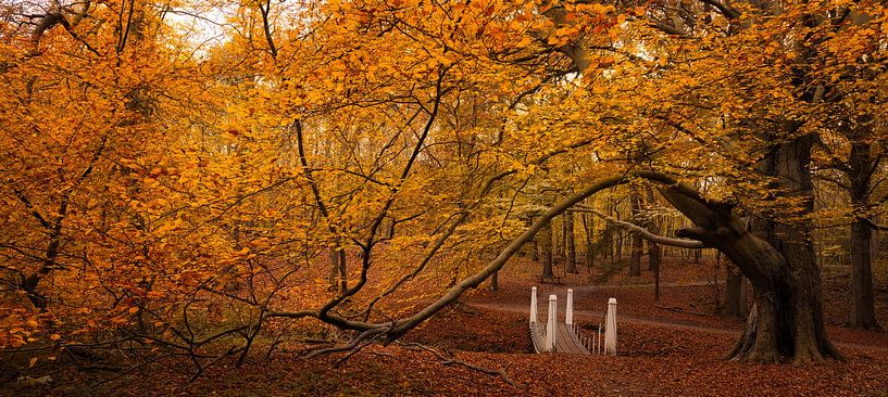 Brücke unter Brücke von peterheinspictures