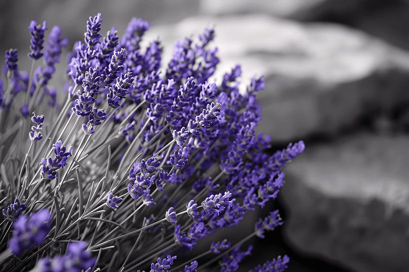 Abstract purple flowers by Art & Soul Creations