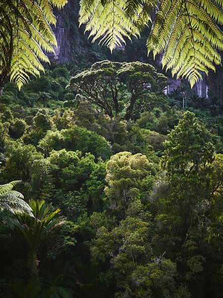 Ein Blick ins Grüne. von Marloes van Pareren