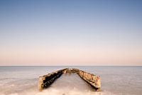 Seeländisches Wasserland