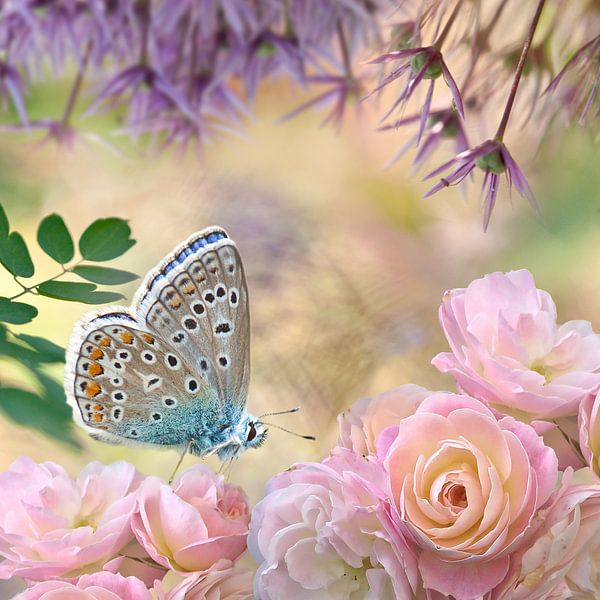 Rosen-Fantasie von Teuni's Dreams of Reality