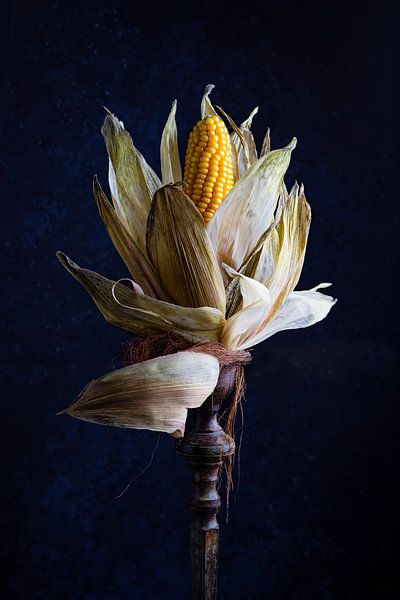 Stilleben Mais auf einem Sockel von Clazien Boot