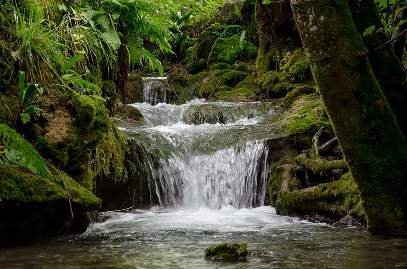 Brühlbach von NEWPICSONMYWALL by Andreas Bethge