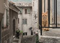 Chat de balcon / Chat roux assis sur un balcon vu à travers les barreaux d'une vieille rue