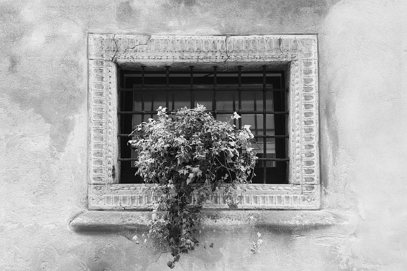 Through the window of Verona | Italy | travel photography | black and white photography by Laura Dijkslag