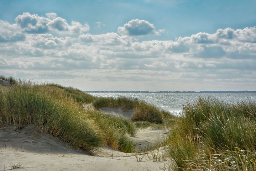 dutch dunes by Joachim G. Pinkawa