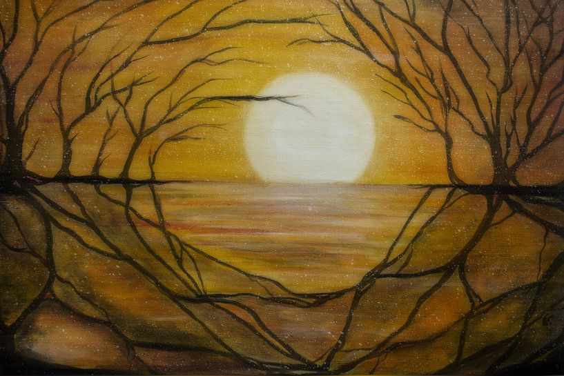 Midnight sun by Christine Nöhmeier