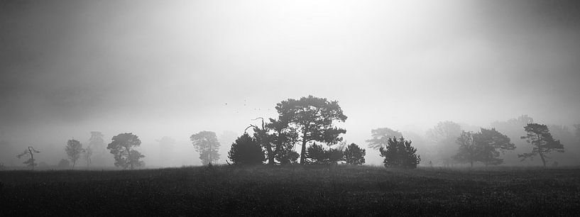 black-and-white panorama of a landscape in fog by Erwin Pilon