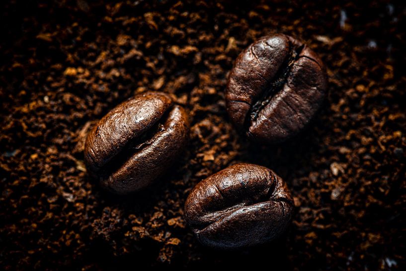 Macro koffiebonen op koffiepoeder van Dieter Walther