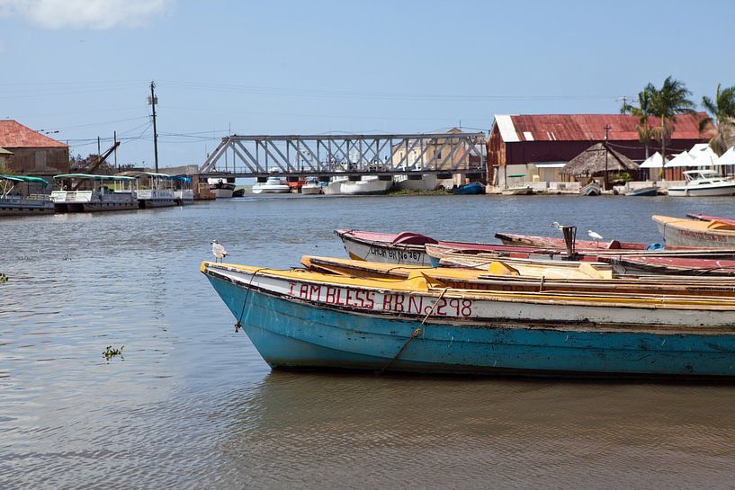 Rivière Noire (Jamaïque) par t.ART