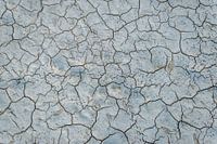 De sporen van droogte