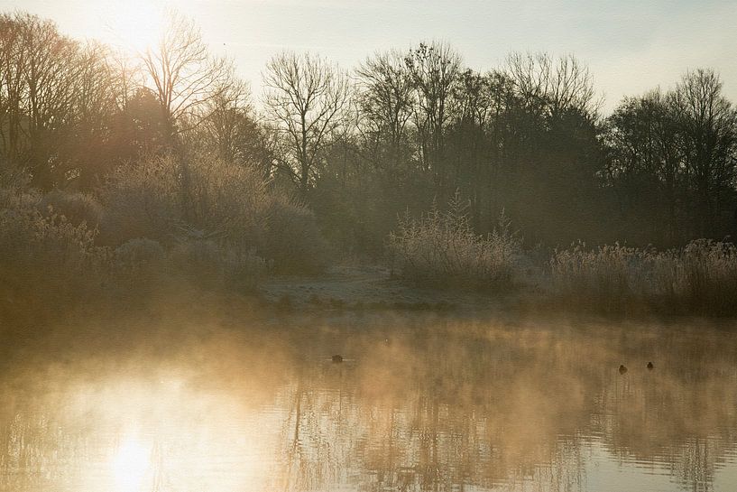 Misty morning by CreaBrig Fotografie