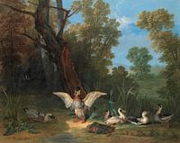 Im Sonnenschein ruhende Enten, Jean-Baptiste Oudry