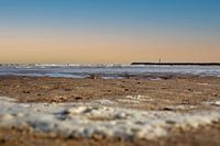 Lonely shell on the beach