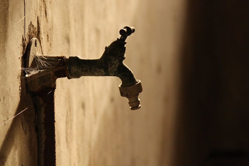 Vieille grue par Rianne Fotografeert