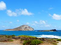 Rabbit Island Hawaii