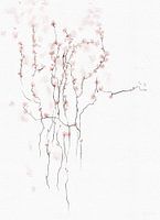 BLÜHENDER FRÜHLING