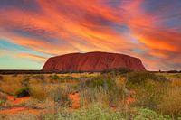 Dans le parc national d'Uluru-Kata Tjuta, dans le Territoire du Nord de l'Australie.