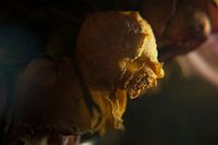 Melancholy and past beauty #3