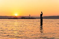 Pelikan bei Sonnenuntergang in Paracas, Peru