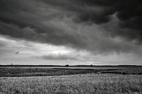 Dwingelderveld na stortbui