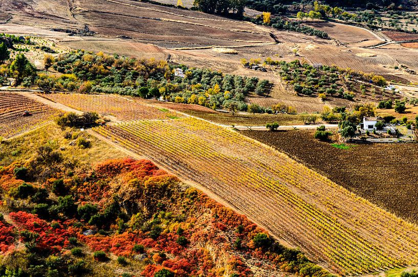 Landscape Serrania de Ronda near Ronda Andalusia Spain by Dieter Walther